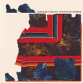 Grizzly Bear- Painted Ruins ( Vinyl )