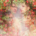 STRFKR- Miracle Mile - Pink ( Vinyl )