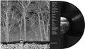 Pile- Sunshine and Balance Beams ( Vinyl )