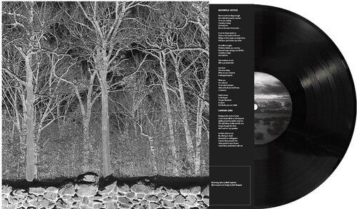 Pile- Sunshine and Balance Beams ( Vinyl )