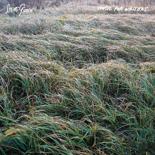 Steve Gunn- Music For Writers ( Vinyl )