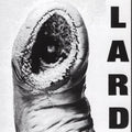 Lard- Power Of Lard - White ( Vinyl )