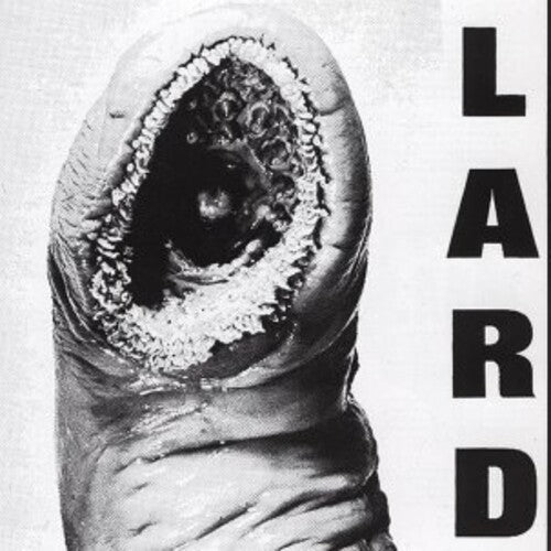 Lard- Power Of Lard - White ( Vinyl )