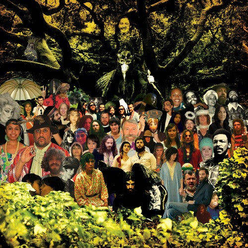 Devendra Banhart- Cripple Crow (20th Anniversary Deluxe) - Black/Green ( Vinyl )