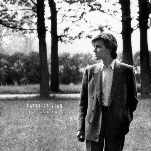 David Sylvian- Brilliant Trees - Olive Opaque Black ( Vinyl )