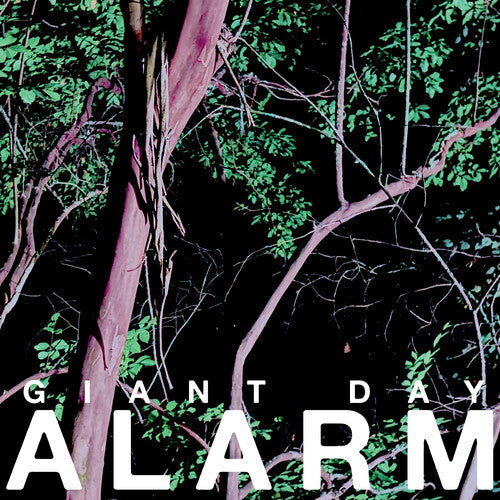 Giant Day- Alarm ( Vinyl )