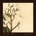 Glass Hours- Chapel Glass ( Vinyl )