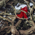 Hannah Frances- Nested In Tangles [Colored Vinyl] (Red) ( Vinyl )