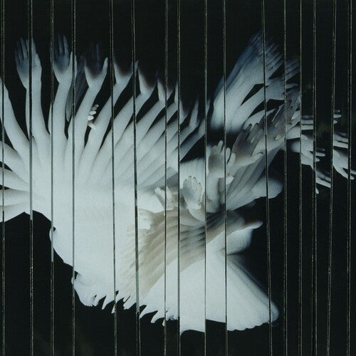 Scaler- Endlessly ( Vinyl )