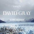 David Gray- Life in Slow Motion (20th Anniversary Edition) ( Vinyl )