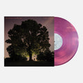 Tyler Ramsey / Broemel,Carl- Celestun - Magenta [Colored Vinyl] ( Vinyl )