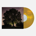 Tyler Ramsey (Band Of Horses)/Carl Broemel (My Morning Jacket)- Celestun (Indie Exclusive Gold Vinyl) ( Vinyl )