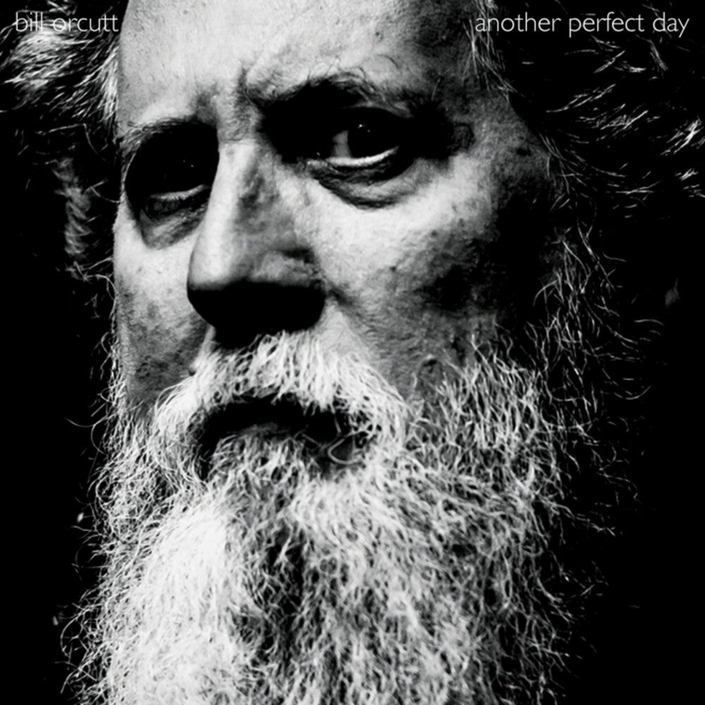 Bill Orcutt- Another Perfect Day ( Vinyl )