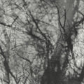 Grouper- Way Their Crept [Reissue] ( Vinyl )