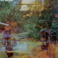 Haley Heynderickx- What Of Our Nature ( Vinyl )