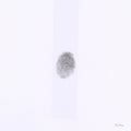 Jesso Jr.,Tobias- S H I N E - White [Colored Vinyl] (Wht) ( Vinyl )