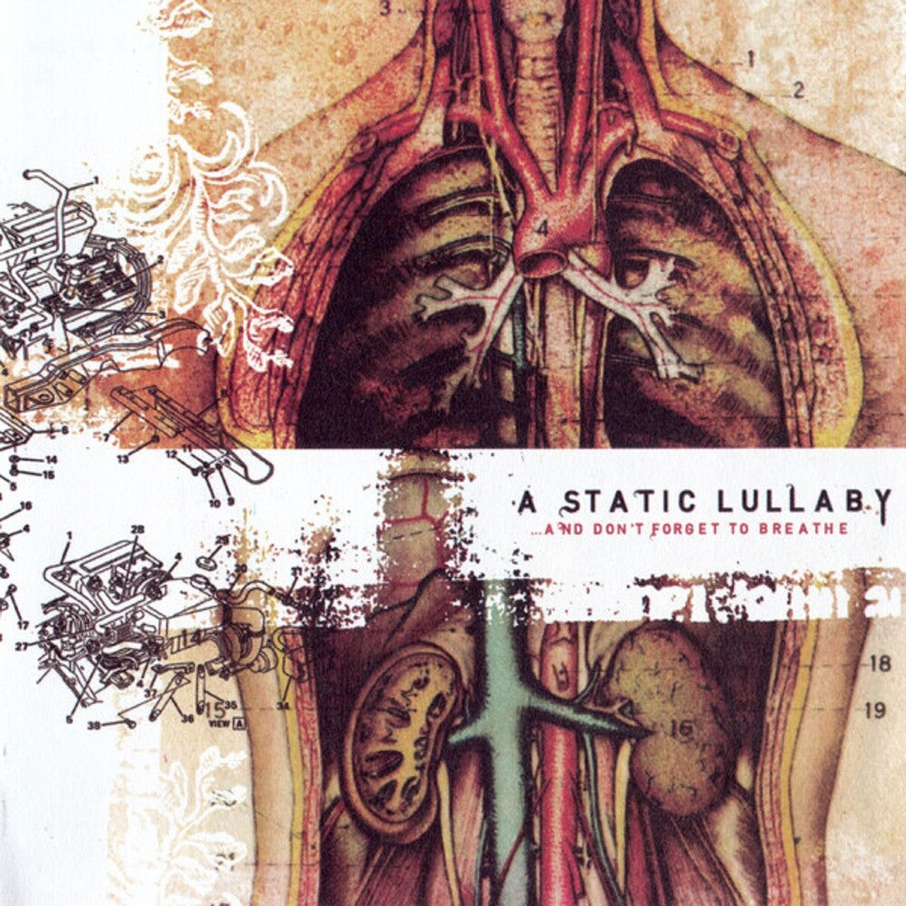 Static Lullalby- & Don't Forget To Breathe [Reissue] ( Vinyl )