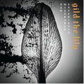 New Miserable Experience- Gild The Lily ( Vinyl )