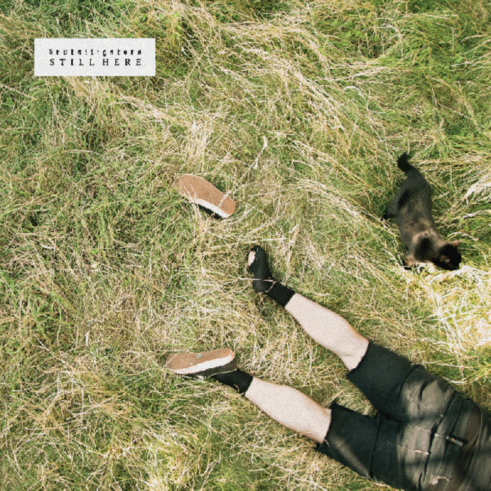Brutalligators- Still Here [Colored Vinyl] (Grn) [Indie Exclusive] (Mrb) ( Vinyl )