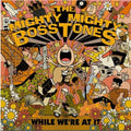 Mighty Mighty Bosstones- While We're At It ( Vinyl )