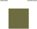 Shane Parish- Autechre Guitar ( Vinyl )