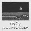 Andy Boay- You Took That Walk For The Two Of Us ( Vinyl )