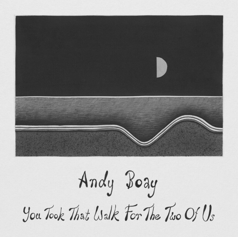 Andy Boay- You Took That Walk For The Two Of Us ( Vinyl )
