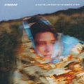 Shoreline- Is This the Low Point or the Moment After? ( Vinyl )