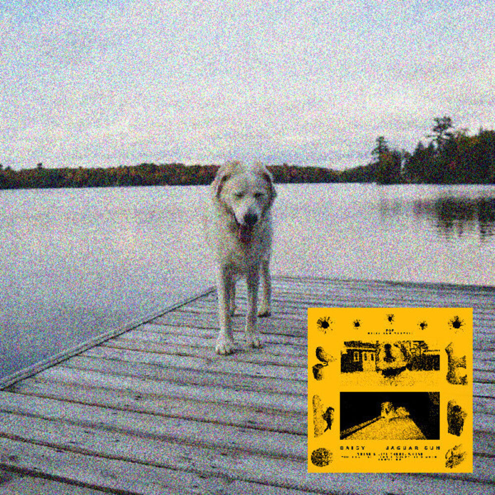 Jaguar Sun- Daisy (Blk) [Colored Vinyl] (Ylw) ( Vinyl )
