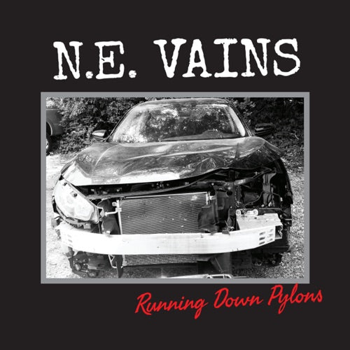 NE Vains- Running Down Pylons ( Vinyl )