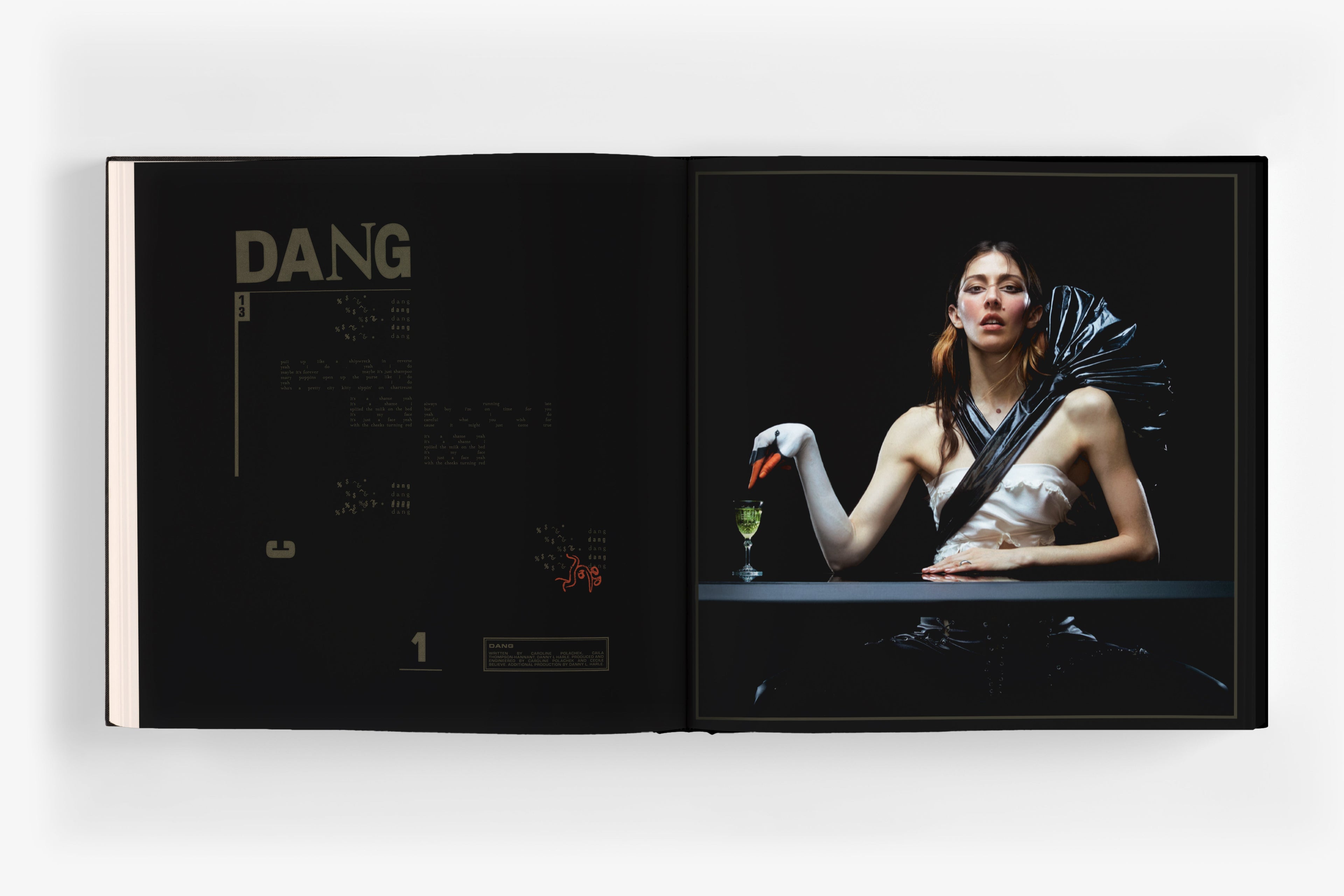 Caroline Polachek- Desire, I Want To Turn Into You: Everasking ( Vinyl )