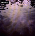 Tarentel- We Move Through Weather ( Vinyl )