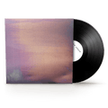 New Order- Bizarre Love Triangle ( Vinyl )
