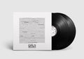 The Girls- Fathers, Son, Holy Ghost ( Vinyl )