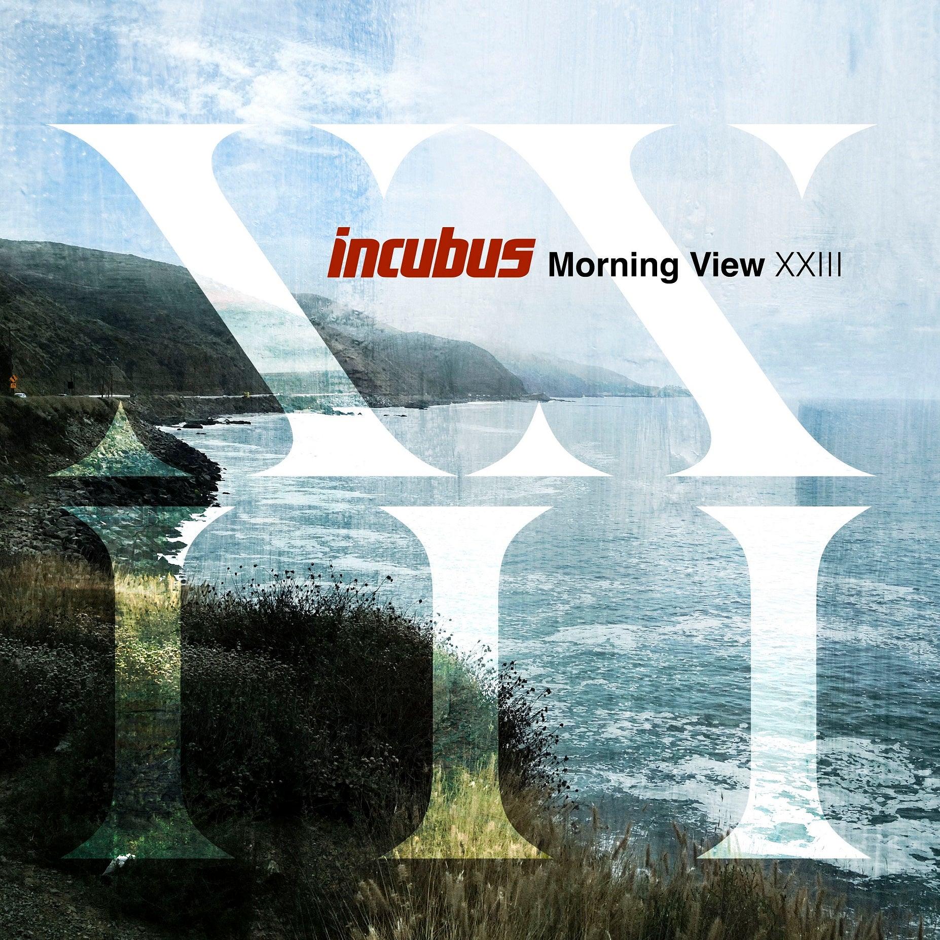 Incubus- Morning View XXIII ( Vinyl )