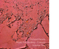 Richard Norris- Music For Healing: Colours Volume Two - Black Vinyl ( Vinyl )