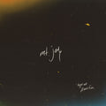 Mt. Joy- Hope We Have Fun [180g Coyote Brown LP] ( Vinyl )