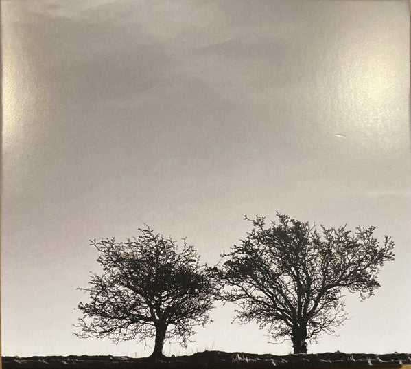 Jon Allen- A Heightened Sense Of Everything ( Vinyl )