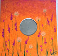 Heather Findley- Wildflower - 180gm Lucky Dip Eco-Colored Vinyl ( Vinyl )