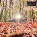 Golden Feather- Golden Feather ( Vinyl )
