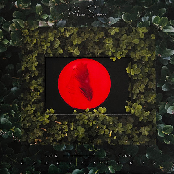 Moses Sumney- Live From Blackalachia - Opaque Red Colored Vinyl ( Vinyl )
