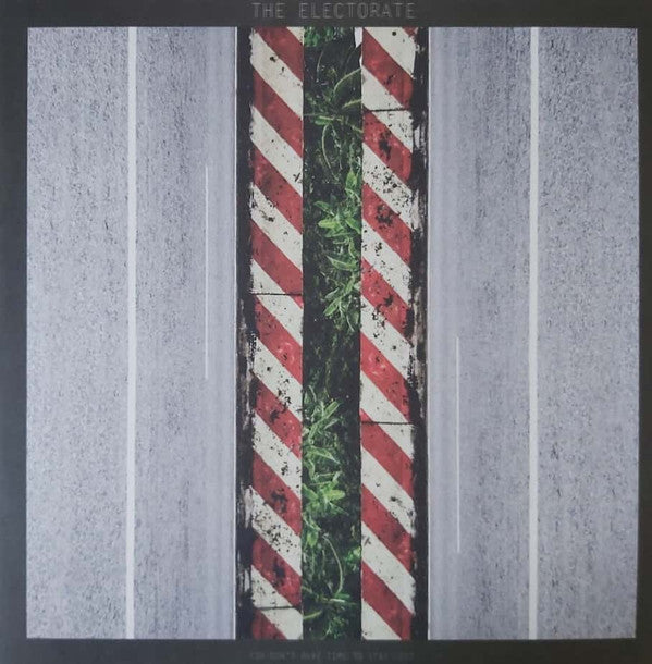Electorate- You Don't Have Time To Stay Lost ( Vinyl )