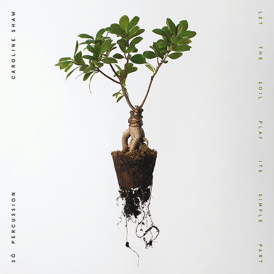 Let The Soil Play Its Simple Part ( Vinyl )