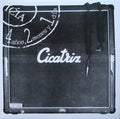 Cicatriz- 4 Anos, 2 Meses Y Un Dia ( Vinyl )
