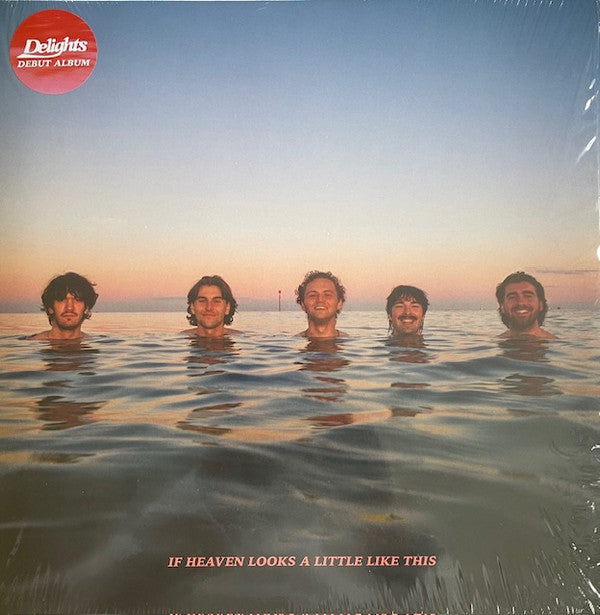 Delights- If Heaven Looks A Little Like This - Orange Colored Vinyl ( Vinyl )