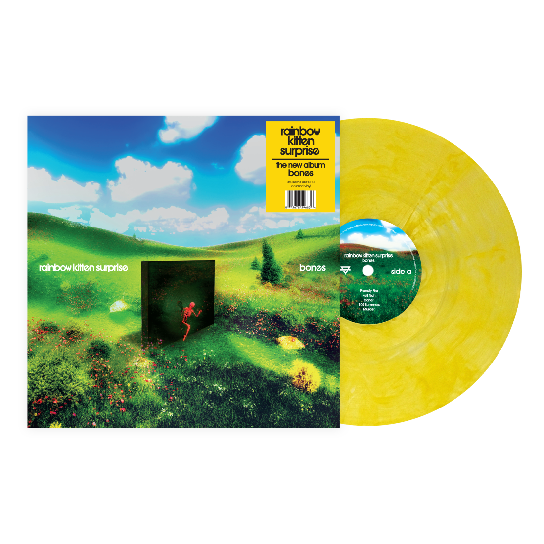 Rainbow Kitten Surprise- bones (Indie Exclusive Banana Vinyl) ( Vinyl )