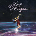 (Sandy) Alex G- House Of Sugar ( Vinyl )
