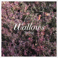 Wallows- Spring EP ( Vinyl )