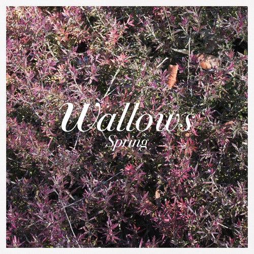 Wallows- Spring EP ( Vinyl )