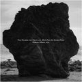 Damon Albarn (Gorillaz)- The Nearer the Fountain, More Pure the Stream Flows ( Vinyl )